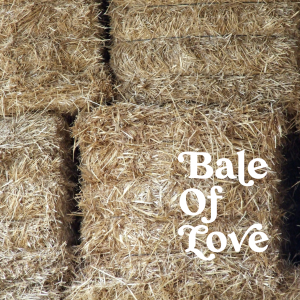 bale of love juggling daisies