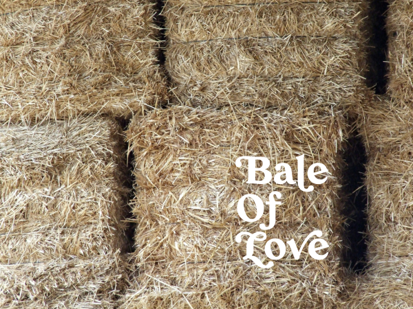 bale of love juggling daisies